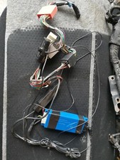 Genuine Parrot CKI3100