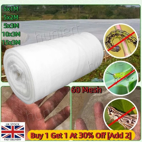 Garden grow protect plant - protect,