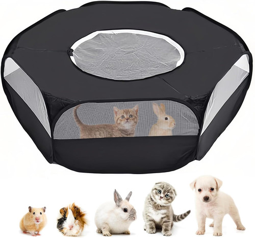 Small animal cage hamster - animal,