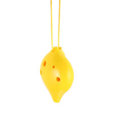 Ocarina Kids Musical