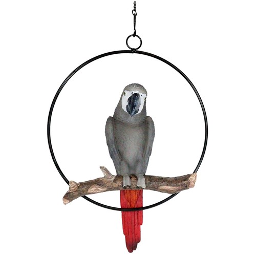 Tropical bird collectors decor - bird,