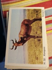 Pt3 Trade Card Dandy Gum Wild