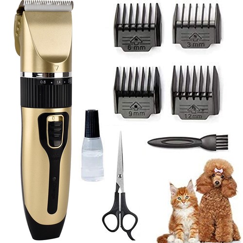 Pet dog cat men grooming - /,