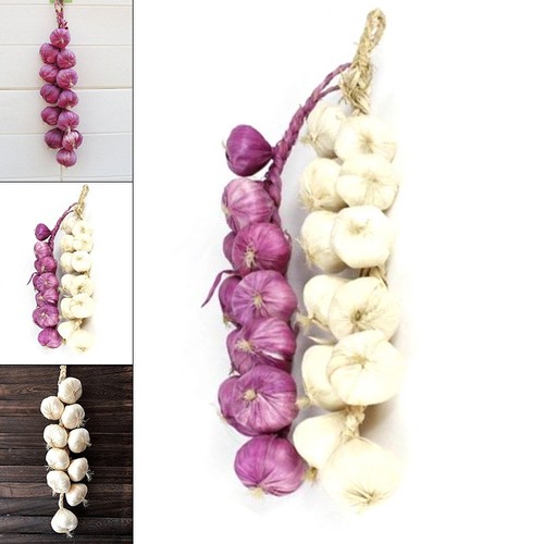 Artificial onion and - artificial, garlic