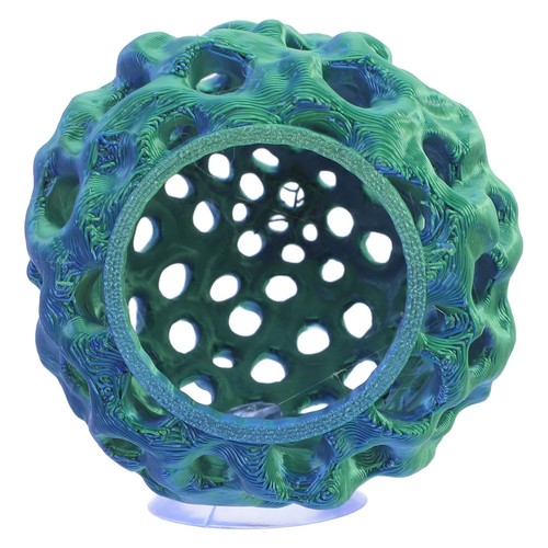Shrimp pot escape - shrimp,
