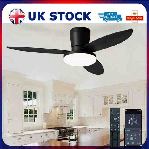 Led ceiling fan with lighting - with,