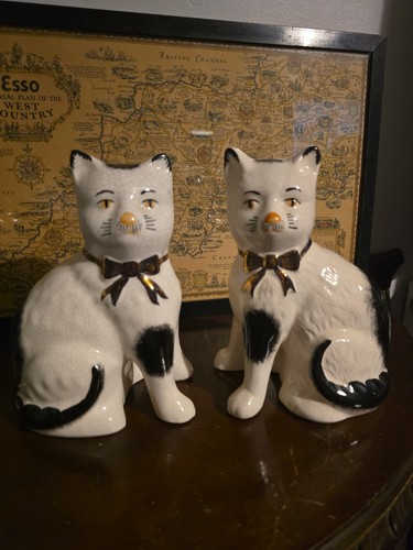 Rare staffordshire cats - staffordshire,