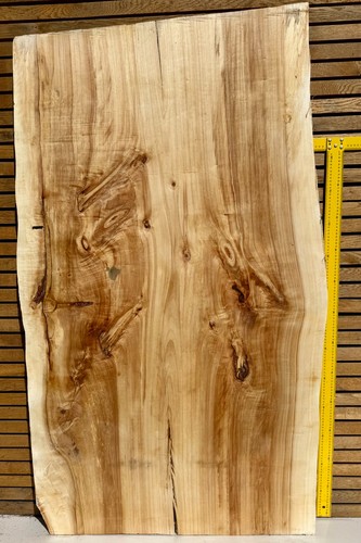 Extra wide poplar live - wide,