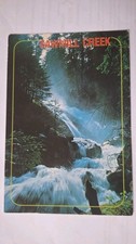 Defects Postcard Sawmill Creek Canada