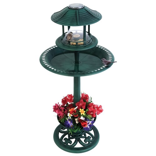 Bird bath feeder - bird,