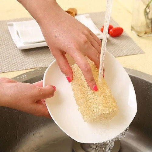 Natural tunisian loofah sponge - natural,
