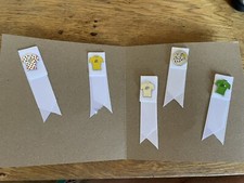 Tour De France Pin Badges