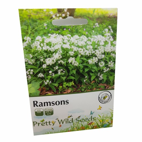 Ramsons wild garlic seeds - wild,