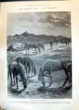 Old 1899 Transvaal War Boer