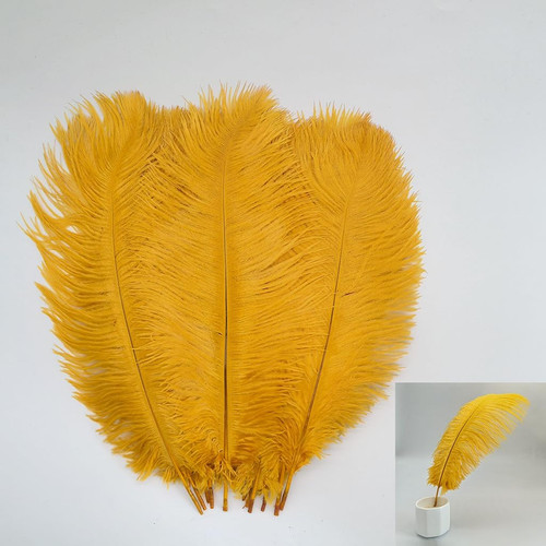 10pcs natural ostrich feathers - ostrich,