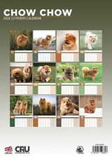 Chow Chow Dog 2026 A3 Calendar