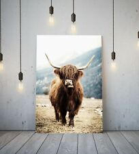 HIGHLAND COW - DEEP FRAMED CANVAS WALL ART PICTURE PRINT- BROWN ANIMAL