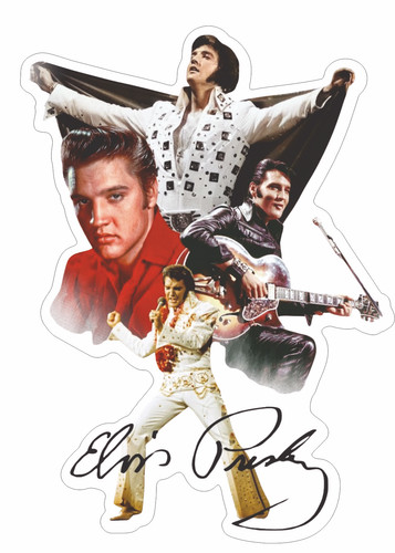 Elvis presley vinyl sticker - elvis,