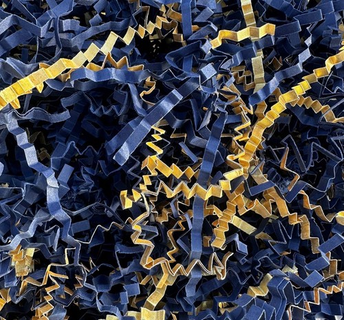 Shredastic shredded paper - ,