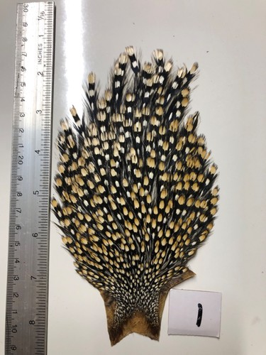 Jungle cock cape - jungle, tying