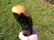 HUGE IRISH BLACKTHORN