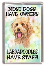 Labradoodle Dog Fridge Magnet "Most Dogs Have Owners LABRADOODLES Have Staff" 