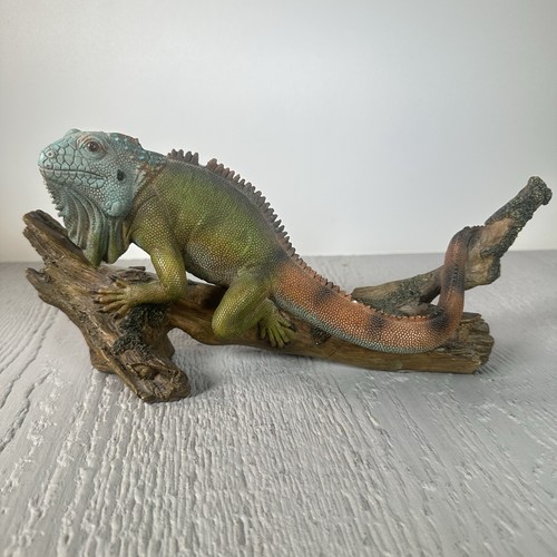 Hand painted iguana - painted,