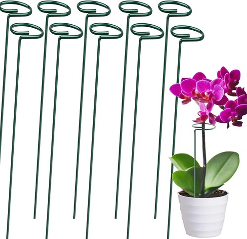 100 plant support - 6-100,