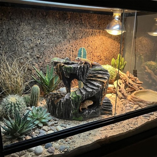 Resin artificial rock reptile - artificial,