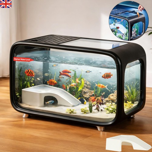 Compact betta fish - fish, kit