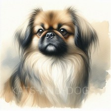PEKINGESE DOG  Watercolour ART PRINT DOG Love GIFT Christmas Birthday Present