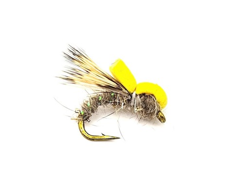 Balloon caddis sedge - 3,