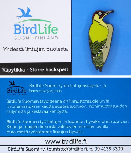 Rspb pin badge international - badge,