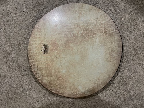 Remo drum with - remo, daf)