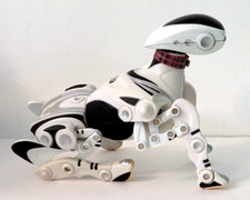 K9 Toy RoboPet Dog Needs a New