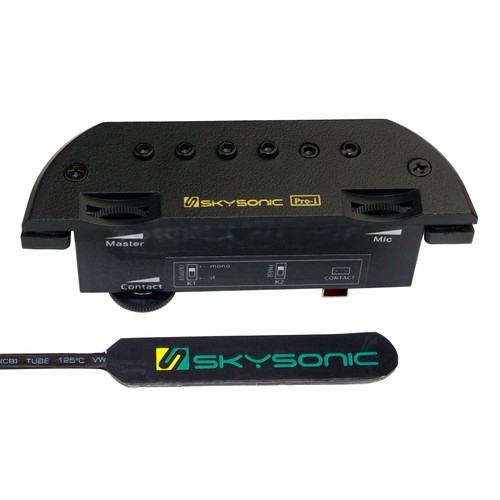 Skysonic pro acoustic guitar - skysonic,