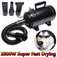 Low Noise 2800W Pet Dryer Dog
