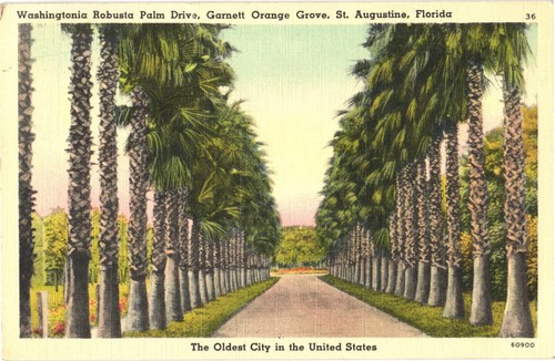 Augustine florida - augustine,