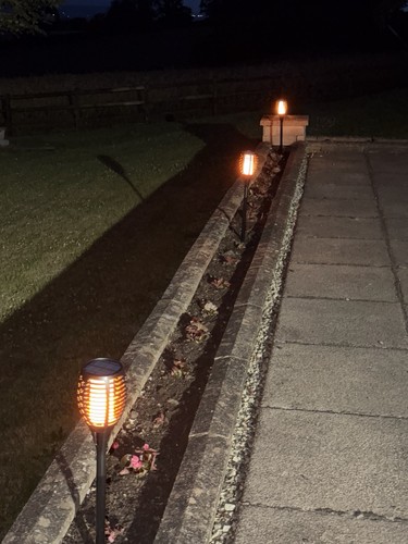 Solar led torch lights pack - solar,