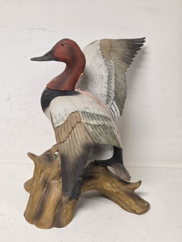Empty ducks unlimited ski - empty,