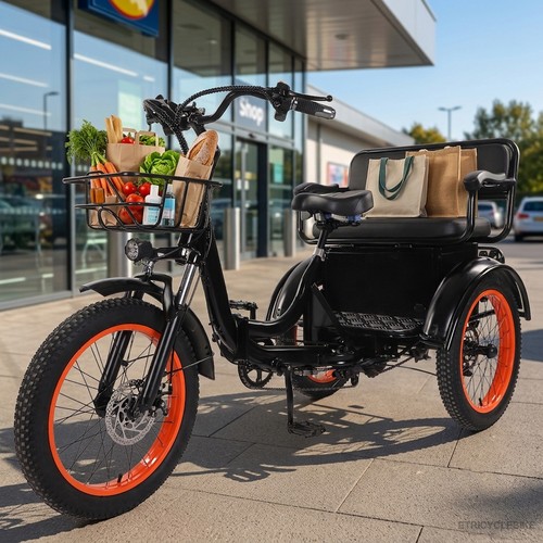 Adult electric tricycle - adult,