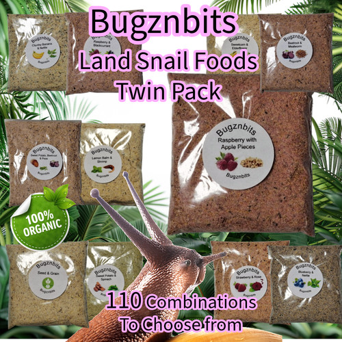 Giant african land snail - giant,