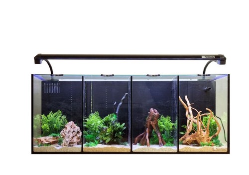 Aqua one betta quad - aqua,