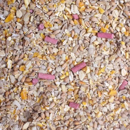 Wild bird food seed mix - food, no