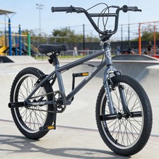 20 inch BMX Freestyle Bike