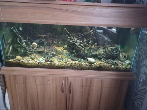 Large fish tank and cabinet - large,