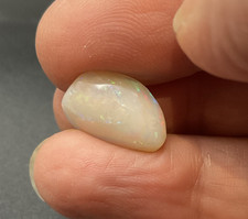 Australian Coober Pedy Opalised Fossil Shell Full Colour Spectrum 3.6cts