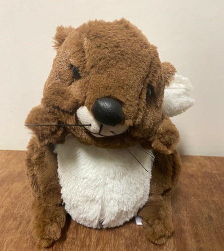 Squirrel animal door - animal, stopper