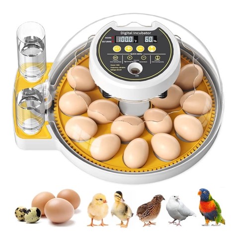 Egg incubator for - 18-60,