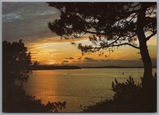 POOLE - Dorset Sunset View from Evening Hill Postcard
